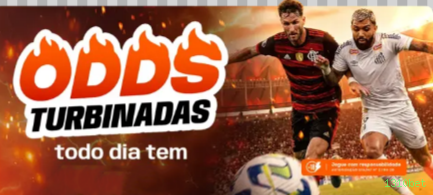 Checklist para avaliar a plataforma 1310bet